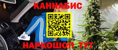 ПСИЛОЦИБИНОВЫЕ ГРИБЫ Новозыбков