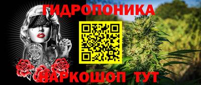 MDMA Новодвинск
