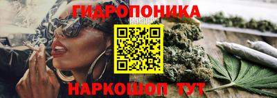 MDMA Новодвинск